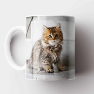 Test Mug 20